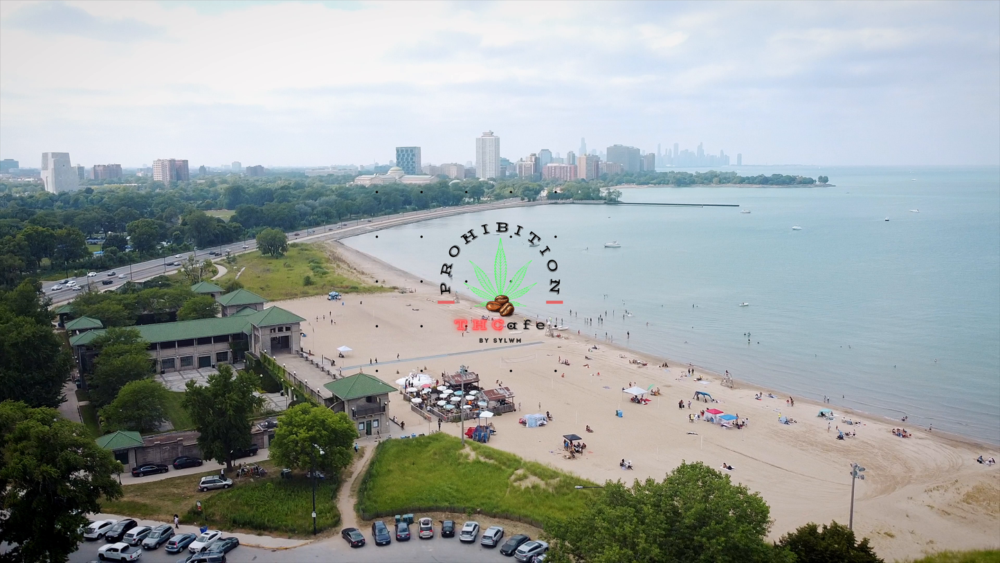 Wavy Vibes: Rugs on the Beach with Kenneth LeDale