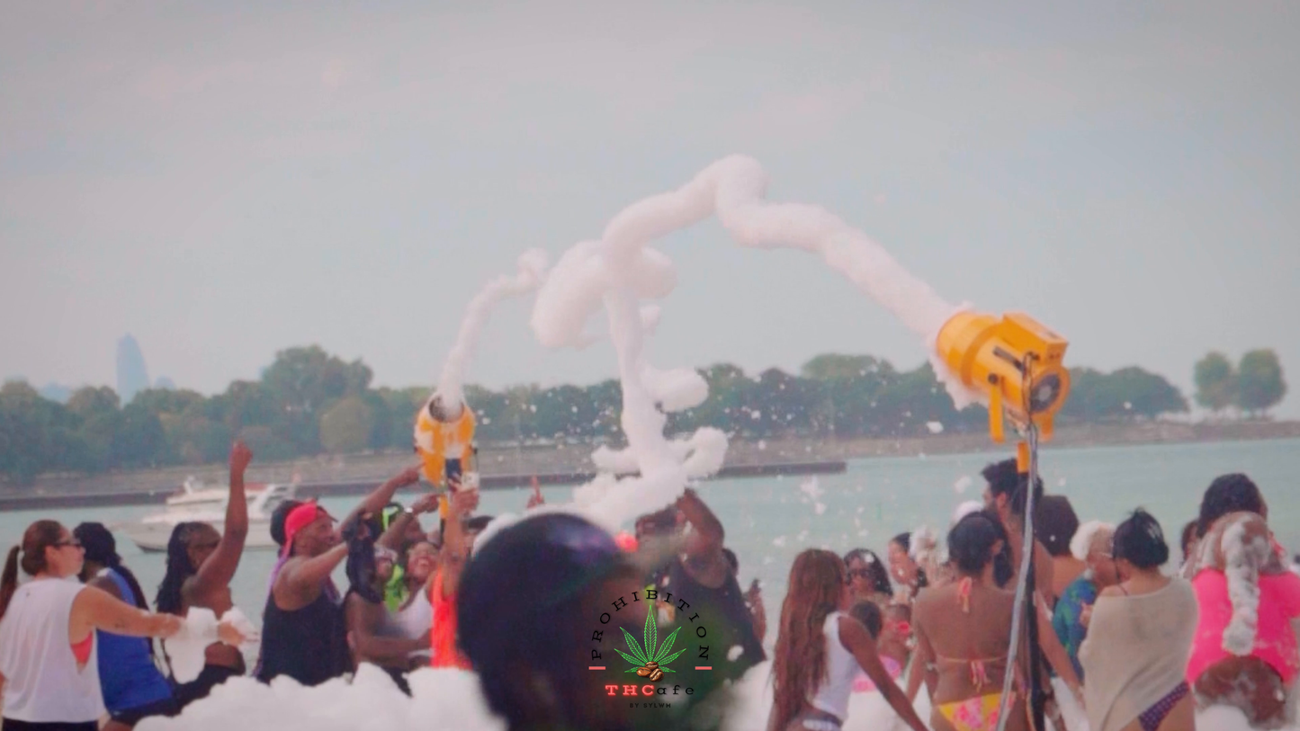 Wavy Vibes: Rugs on the Beach with Kenneth LeDale